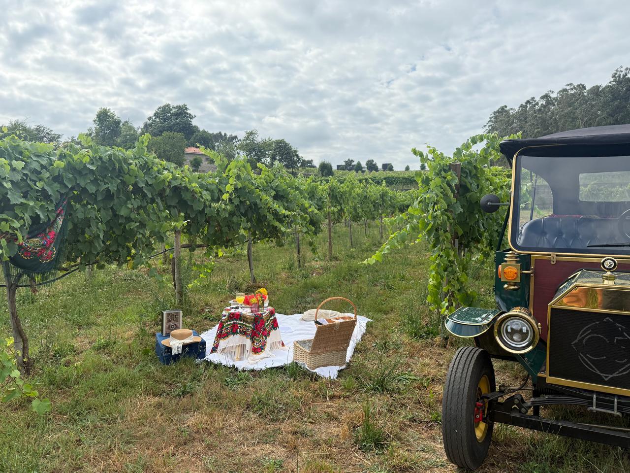 Piquenique Exclusivo na Natureza